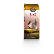 LapiX .png