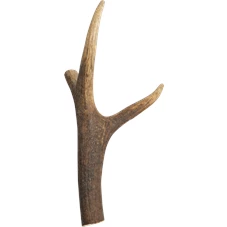 5415251041590-1.png