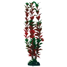 plant 22019.jpg