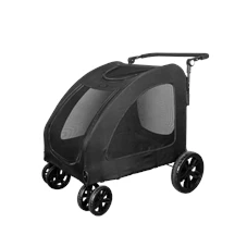 buggy lady.png