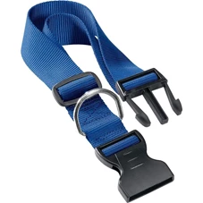 club c25 blauw.jpg