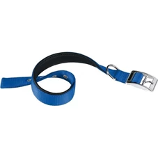 daytona c40 69 blauw.jpg