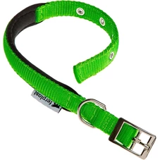 daytona groen.jpg