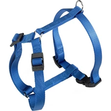 champion s blauw.jpg