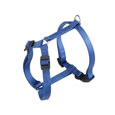 champion xl blauw.jpg