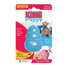 kong puppy.jpg