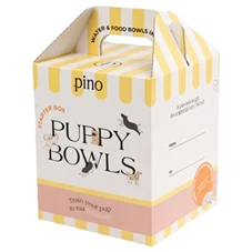 puppy pino.jpg