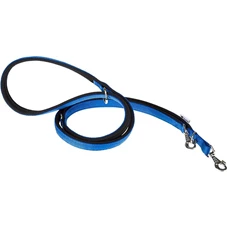 daytona blauw.jpg