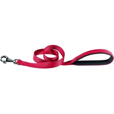 daytona rood 15019.jpg