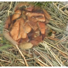 berghooi-met-appel-500gr