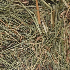 berghooi-met-brandnetel-500gr