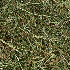 berghooi-met-munt-500gr