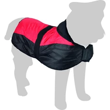 eisbar-rood-30cm