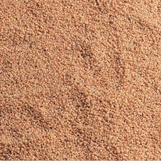 grind-caviar-10kg