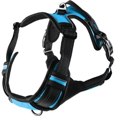 harnas-Balou-blauw-xl-80-105cm-25mm