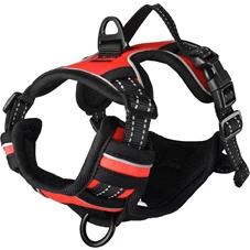harnas-Balou-rood-s-40-55cm-20mm
