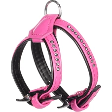 harnas-Monte-Carlo-roze-xs-s-21-27cm-11mm