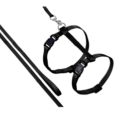 kattenharnas-lijn-ziggi-zwart-20-35cm-10mm
