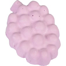 knaagsteen-druif-60g