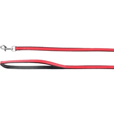 lijn-Paris-rood-110cm-11mm
