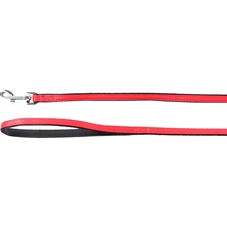 lijn-Paris-rood-110cm-14mm