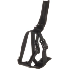 veiligheidsharnas-auto-baro-m-zwart-46-62cm-25mm