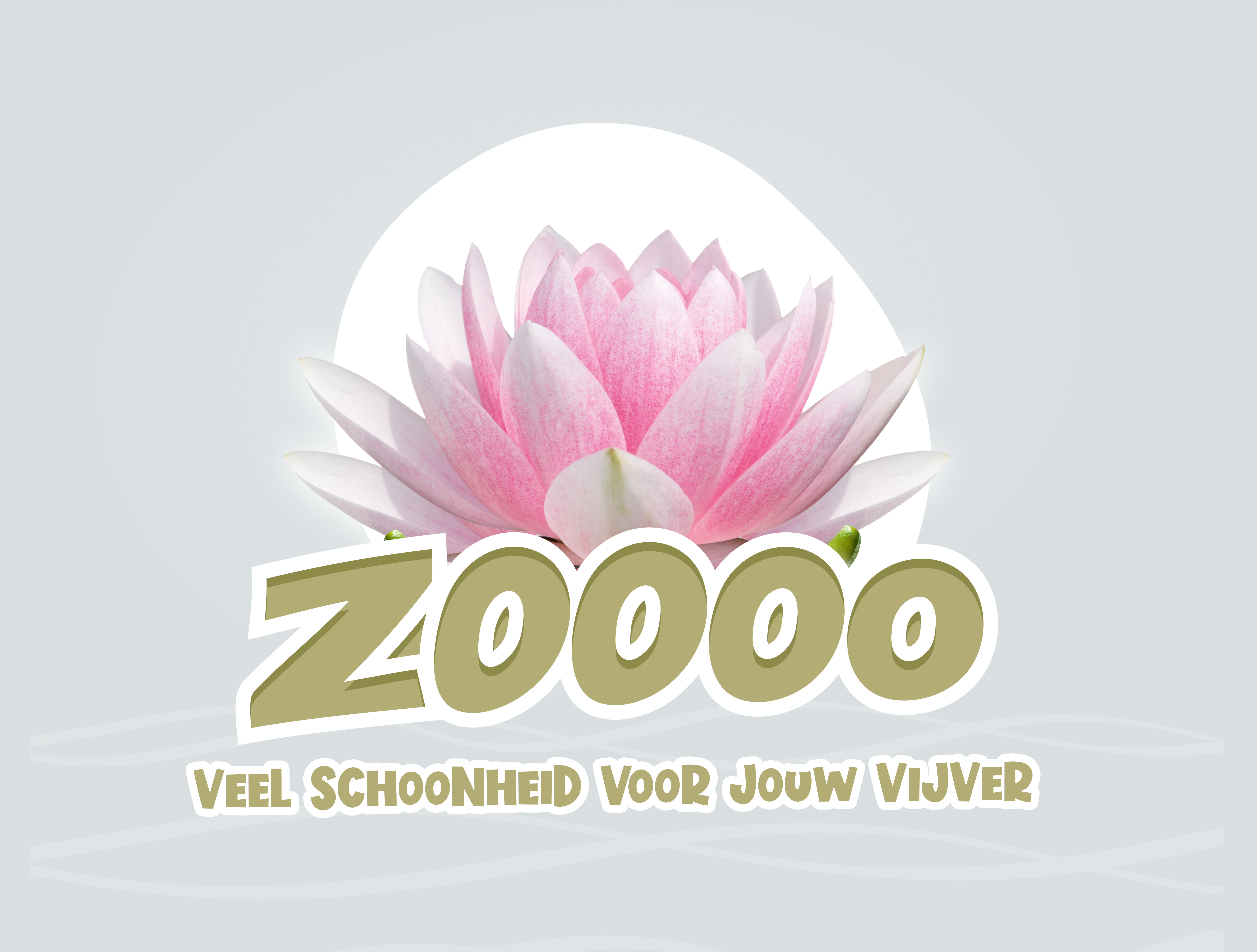 Veel schoonheid voor jouw vijver